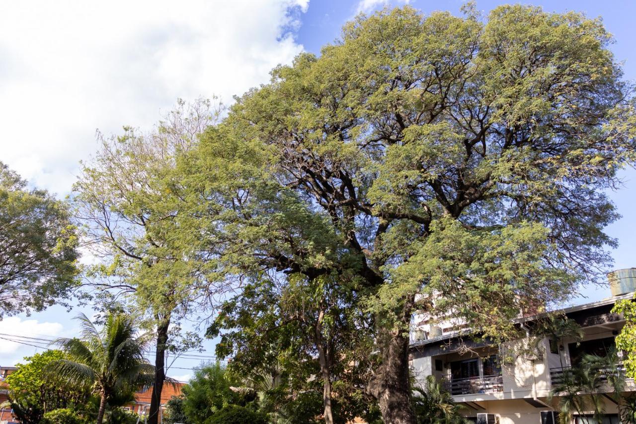 Das Heim Hotel Asuncion Extérieur photo